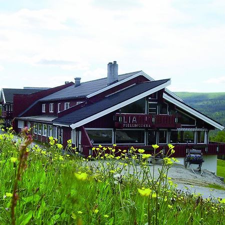Lia Fjellhotell Geilo Exteriér fotografie
