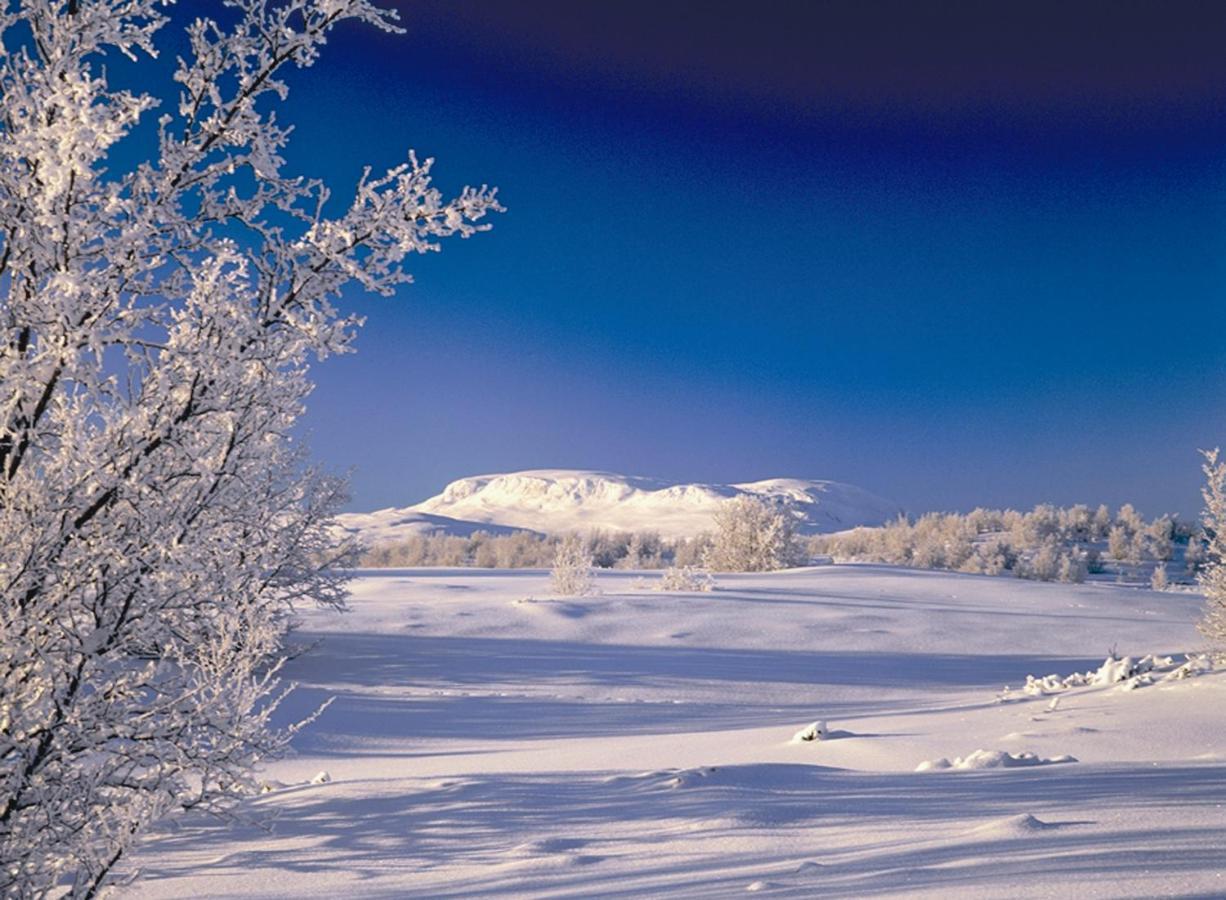 Lia Fjellhotell Geilo Exteriér fotografie