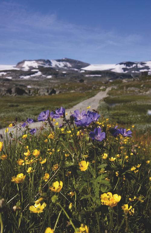 Lia Fjellhotell Geilo Exteriér fotografie
